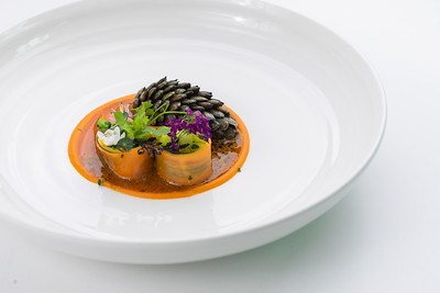 sustainable gastronomy