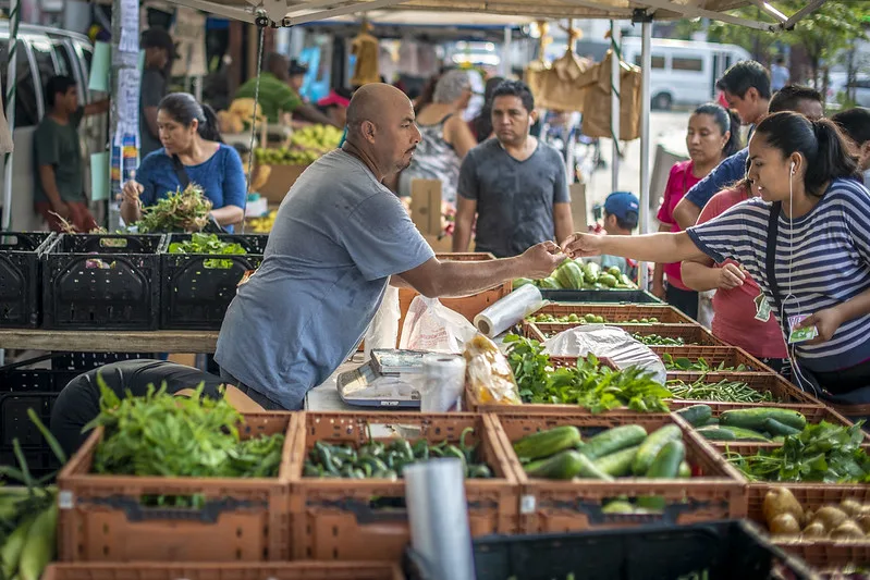 seasonal farmers market