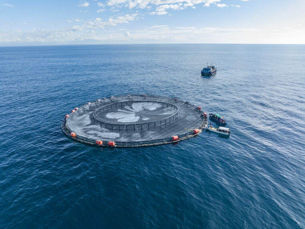 Forever Oceans Enclosure
