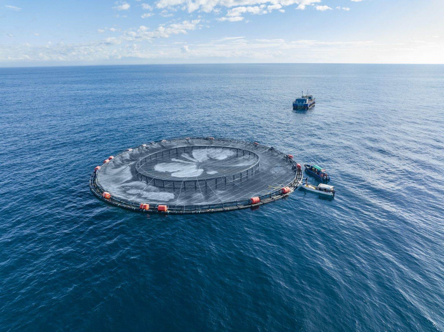Forever Oceans Enclosure
