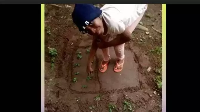 harvesting
child with healthy food