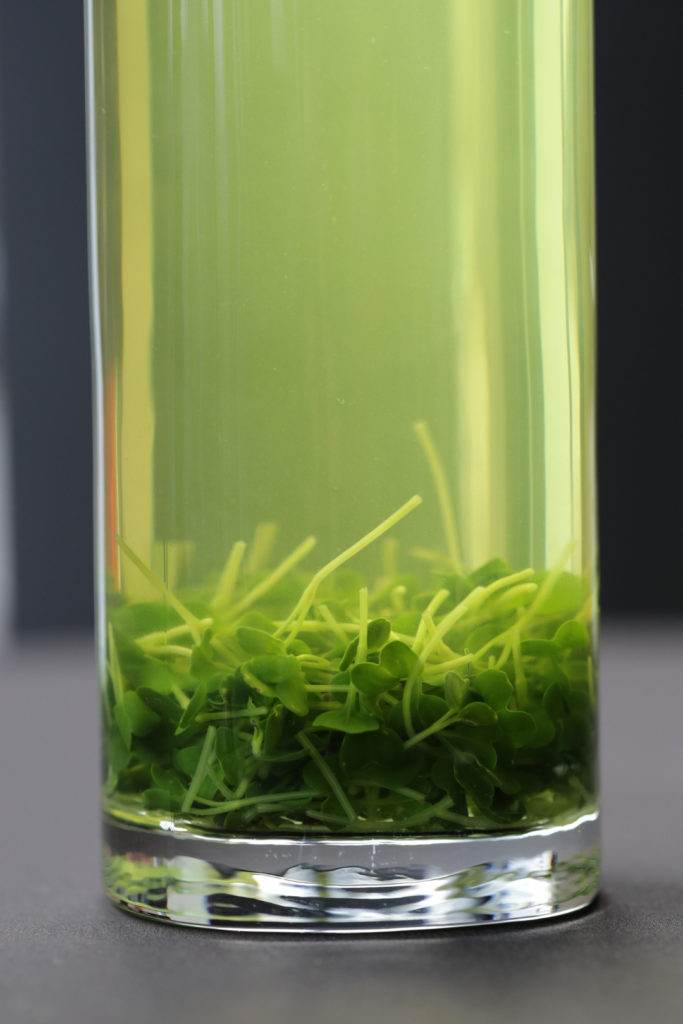 Daikon vegetable stock